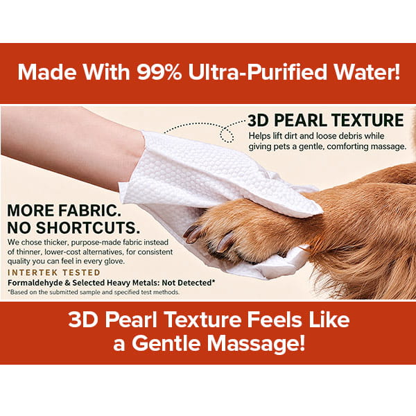 A gloved hand uses a Hypoallergenic Dog & Cat Bathing Glove Wipe to clean a dog’s paw with its textured white surface. These wipes feature 99% ultra-purified water, a unique 3D pearl texture, and extra fabric for thorough cleaning. Made without shortcuts, they are hypoallergenic and designed to gently cleanse even the most sensitive paws while keeping your furry friend fresh.