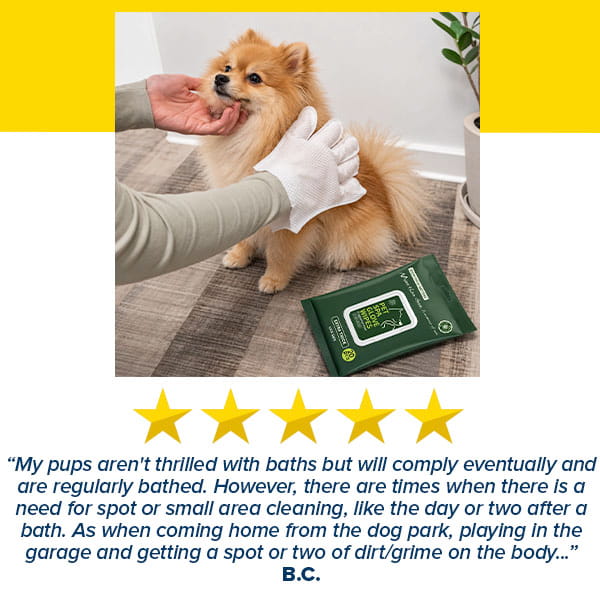A person wearing a white Hypoallergenic Dog & Cat Bathing Glove Wipe gently wipes a small fluffy dog’s face. The hypoallergenic glove wipes package is on the floor. Five gold stars and a customer review about cleaning pets appear below the image.