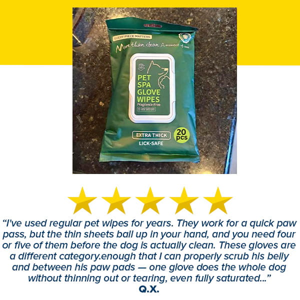 A package of Hypoallergenic Dog & Cat Bathing Glove Wipes sits on a counter, accompanied by a five-star customer review highlighting the wipes’ durability and effectiveness in cleaning their dog’s belly and paws.