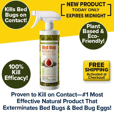 All Natural Bed Bug Killer