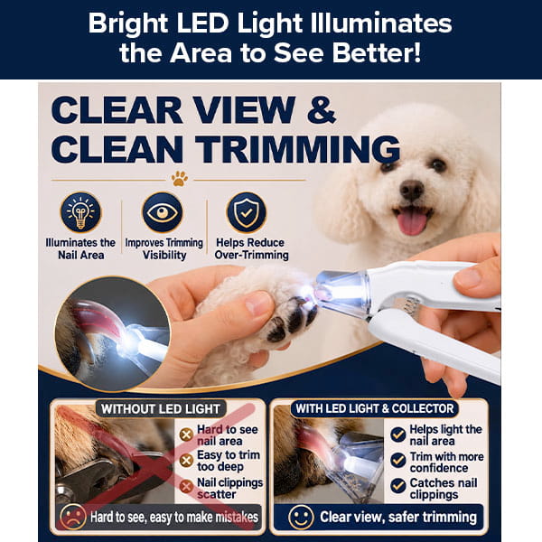 Infographic demonstrating Dog Nail Clippers & Grinder with LED Light, featuring a built-in light and nail collector to show how the illuminated view improves safety compared to standard trimmers.