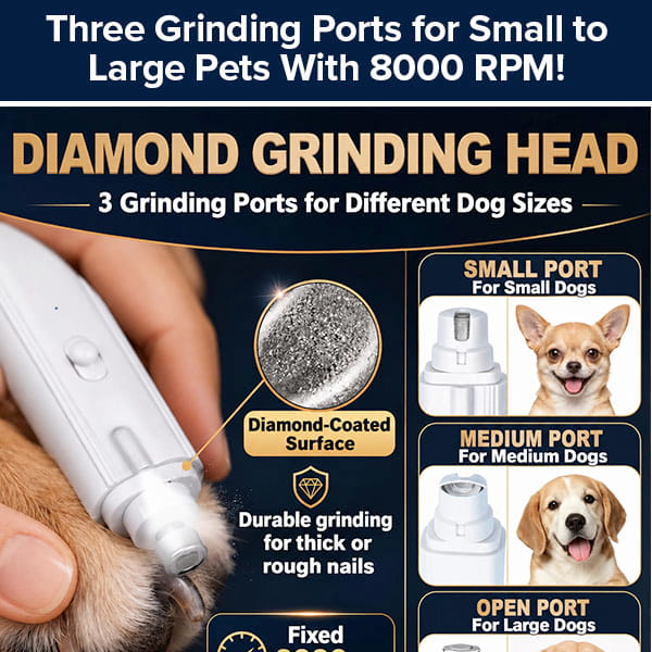 A hand uses an illuminated Dog Nail Clippers & Grinder with LED Light on a dog’s claw, with text highlighting the diamond-coated head and three grinding ports tailored to the size of the dog.