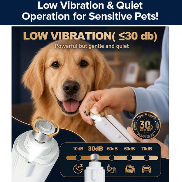 A person uses a quiet, low-vibration Dog Nail Clippers & Grinder with LED Light to trim a golden retriever’s paw.