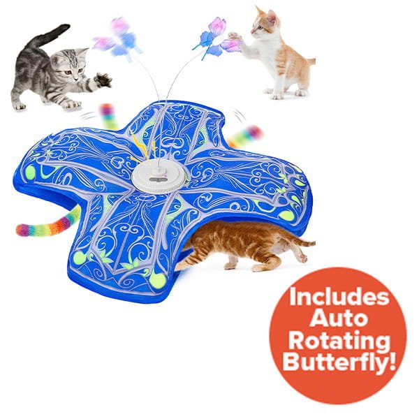 Three playful kittens engage with the Interactive Hide and Seek Cat Toy—a blue, flower-shaped toy featuring vibrant patterns, attached butterfly wands, and a tunnel for hide-and-seek fun. A red circle announces: Includes Auto Rotating Butterfly!.