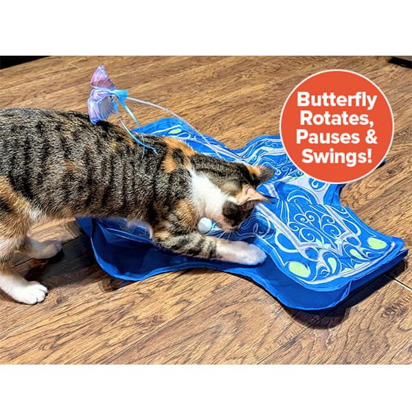 A cat plays with an Interactive Hide and Seek Cat Toy, shaped like a blue butterfly, on a wooden floor. A fake butterfly on a wire is attached to the toy. An orange text bubble says, Butterfly Rotates, Pauses & Swings!.