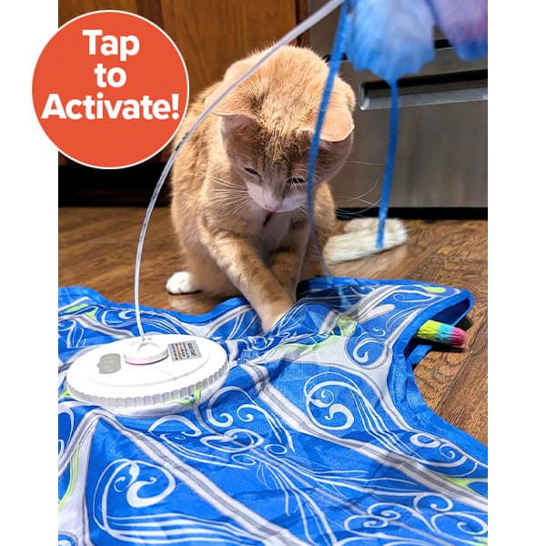 An orange cat plays with the Interactive Hide and Seek Cat Toy on a blue patterned mat, with text in the corner that reads, Tap to Activate!.