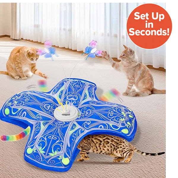 Three cats play with a blue Interactive Hide and Seek Cat Toy on a carpeted floor. Two cats paw at the moving butterfly toys above, while one cat crouches underneath the Interactive Hide and Seek Cat Toy, creating the ultimate hide and seek cat toy experience. A “Set Up in Seconds!” sign is visible in the corner.