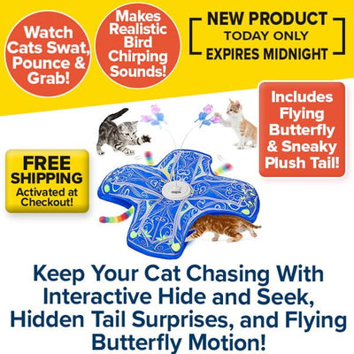 Interactive Hide and Seek Cat Toy