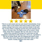 A photo of a cat playing with the blue Interactive Hide and Seek Cat Toy on a wooden floor. Another cat lounges nearby, intrigued by the excitement. The image also features a five-star review and a customer testimonial praising the product’s engaging design and quality.