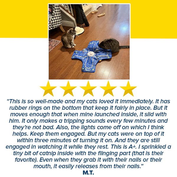 A photo of a cat playing with the blue Interactive Hide and Seek Cat Toy on a wooden floor. Another cat lounges nearby, intrigued by the excitement. The image also features a five-star review and a customer testimonial praising the product’s engaging design and quality.
