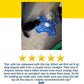 Two cats play with the Interactive Hide and Seek Cat Toy, a blue interactive toy on a carpet. Below, a five-star rating and positive review praise this rechargeable cat toy for keeping energetic kittens entertained and recommend it to others.