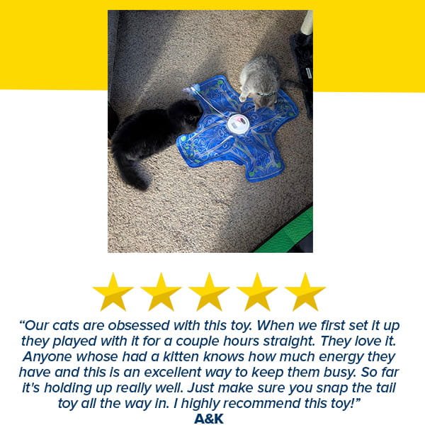 Two cats play with the Interactive Hide and Seek Cat Toy, a blue interactive toy on a carpet. Below, a five-star rating and positive review praise this rechargeable cat toy for keeping energetic kittens entertained and recommend it to others.