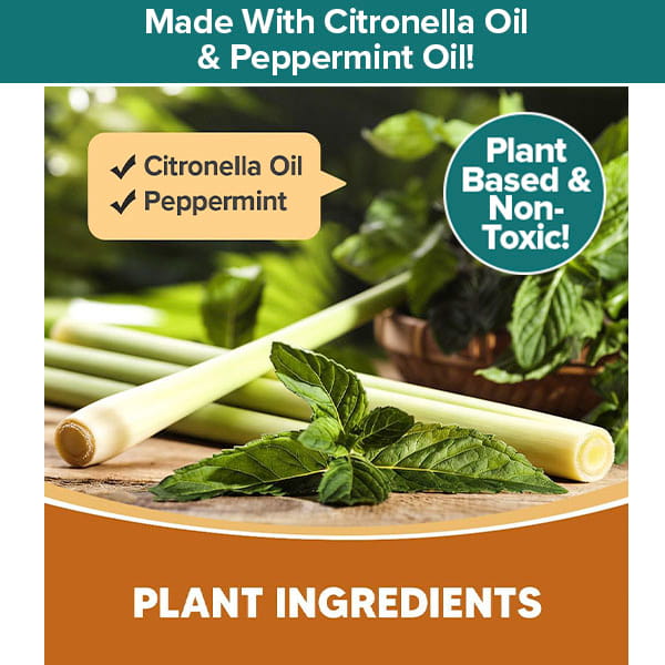 Lemongrass stalks and mint leaves surrounding Mosquito Repellent Balls With Citronella Oil, with text overlays stating Made With Citronella Oil & Peppermint Oil!, Plant Based & Non-Toxic!, and Plant Ingredients.