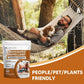 A man rests in a hammock with his dog next to a pouch of Mosquito Repellent Balls With Citronella Oil.