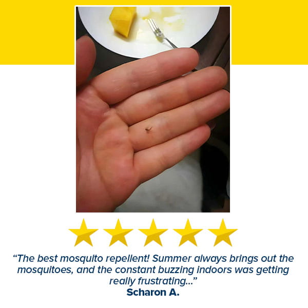 A hand holds a small, brown, circular Mosquito Repellent Balls With Citronella Oil, with a plate of food in the background and a five-star review below.