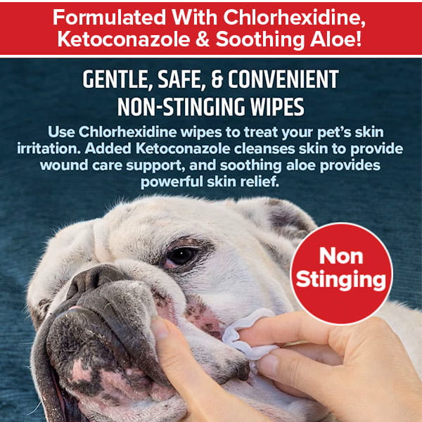 A hand gently wipes the face of a white bulldog with a cloth. Text highlights Pet RXⓇ Topical Wipes for Cleansing, which feature gentle, non-stinging pet skin wipes formulated with chlorhexidine, ketoconazole, and soothing aloe to help relieve skin irritation—ideal for daily cleansing or for use as a hot spot treatment for dogs.