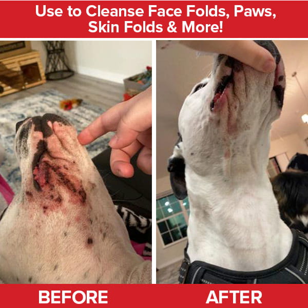 Side-by-side photos of a dog's chin and neck reveal irritated skin in the before image and clear, healthy skin in the after image, with a finger gently lifting the dog's head in both photos. The transformation showcases the effectiveness of using Pet RXⓇ Topical Wipes for Cleansing as a dog hot spot treatment.