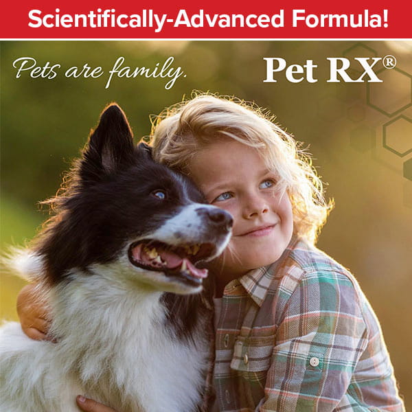 A smiling child hugs a black and white dog outdoors. Text reads, “Pets are family. Pet RXⓇ Topical Wipes for Cleansing” and “Scientifically-Advanced Formula!” The bright, warm scene highlights their bond—and reminds us how using Pet RXⓇ Topical Wipes for Cleansing can help keep your furry family member healthy and comfortable every day.