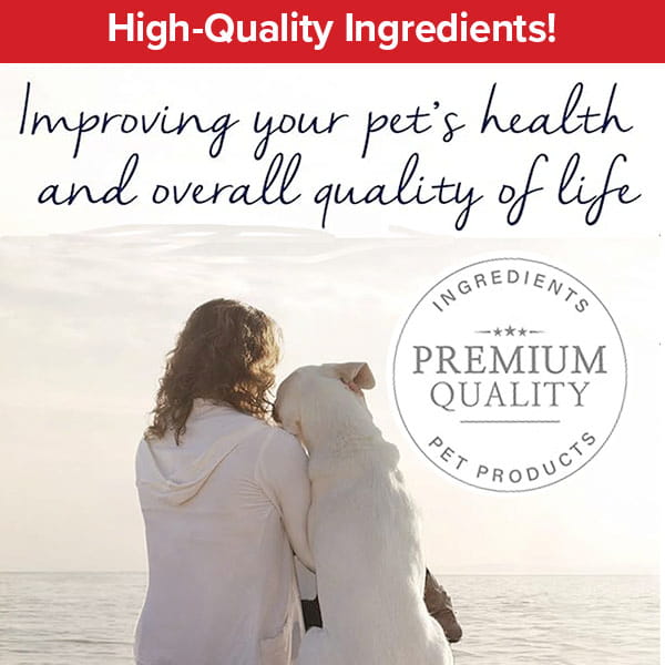 A person and a dog sit by the water beneath text promoting high-quality pet ingredients, with a Premium Quality Ingredients seal on the right, highlighting the gentle care of Pet RXⓇ Topical Wipes for Cleansing for effective dog hot spot treatment.
