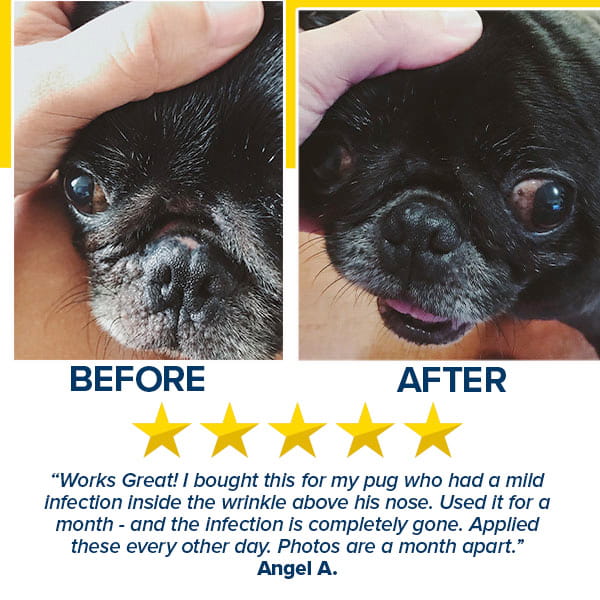 Before and after close-ups of a black pug's face highlight the improved skin condition achieved with Pet RXⓇ Topical Wipes for Cleansing; beneath the images, a five-star review features a customer testimonial praising the product’s effectiveness as a hot spot treatment for dogs.