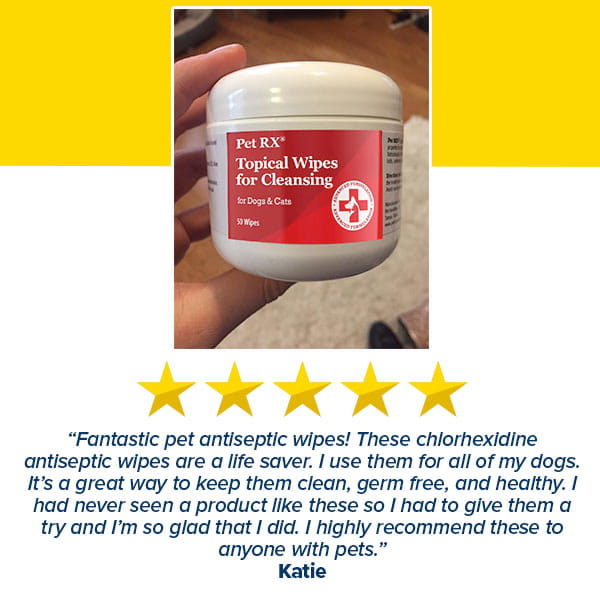 A hand holds a container of Pet RXⓇ Topical Wipes for Cleansing, specially formulated chlorhexidine wipes for dogs and cats to support healthy skin. Highlighted is a five-star customer review and a testimonial commending the wipes’ effectiveness as a hot spot treatment for dogs, enthusiastically recommending them to fellow pet owners.