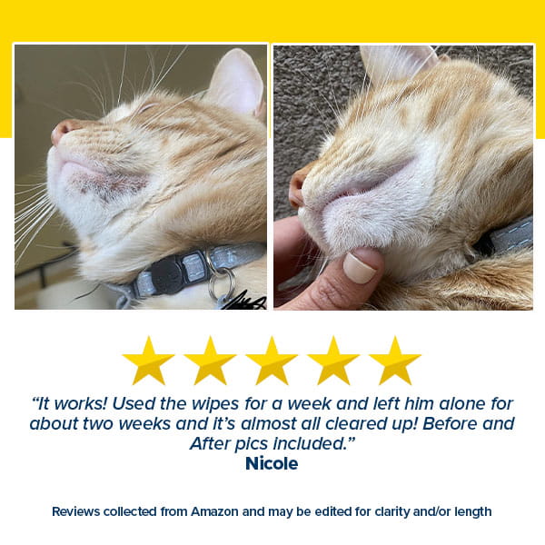 Two close-up photos of an orange tabby cat’s chin display a remarkable before-and-after skin improvement, alongside a five-star review praising the effectiveness of Pet RXⓇ Topical Wipes for Cleansing.