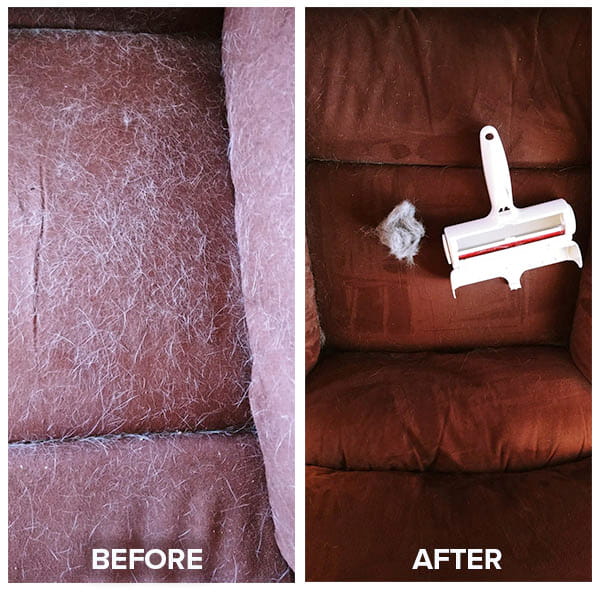 Rolling Pet Hair Remover