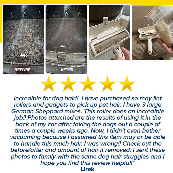 Rolling Pet Hair Remover