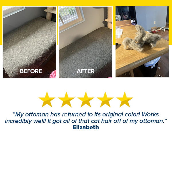 Rolling Pet Hair Remover