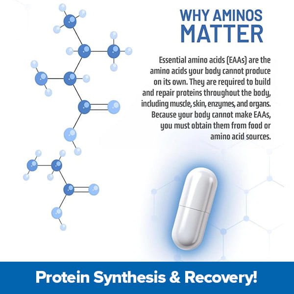 A graphic features the Muscle Code Essential Amino Acid Capsules, a white capsule, and text highlighting that essential amino acids aid muscle recovery and lean growth and must be obtained through diet or supplements.