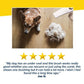 Pet Grooming Vacuum