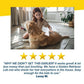 Pet Grooming Vacuum