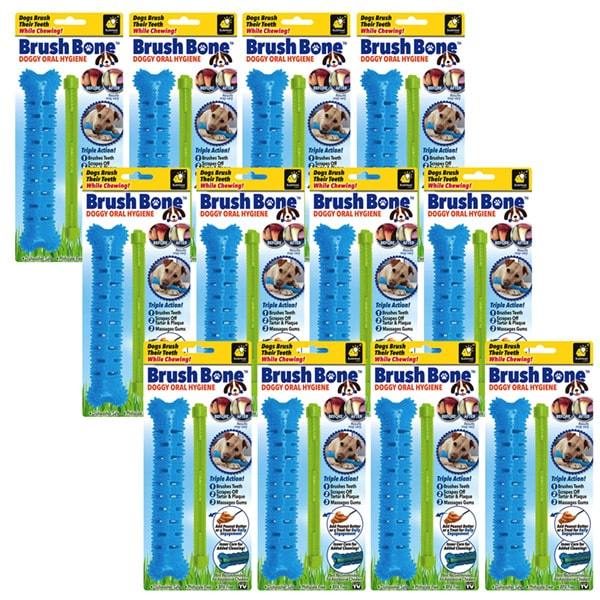 BrushBone 12 Pack