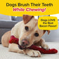 Bacon Bonanza Brush Bone