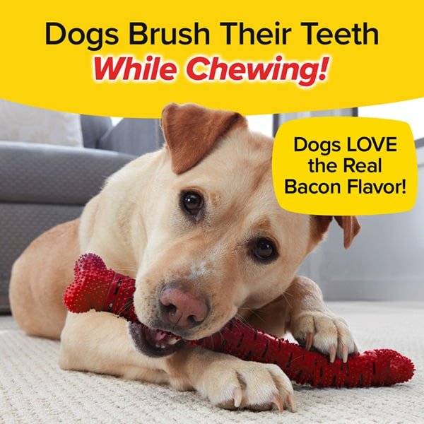Bacon Bonanza Brush Bone