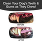 Bacon Bonanza Brush Bone