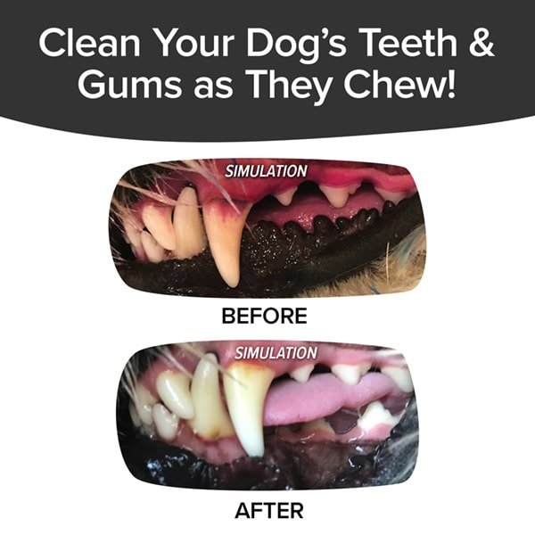 Bacon Bonanza Brush Bone