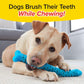 BrushBone