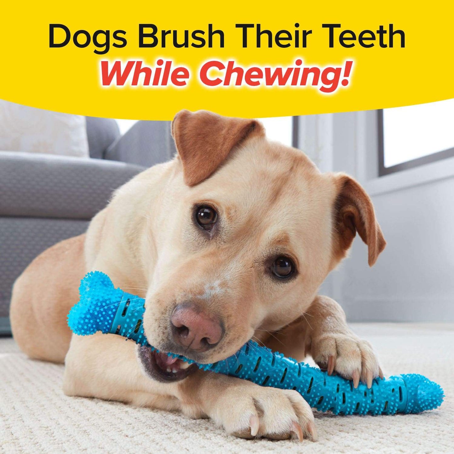 BrushBone