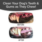 BrushBone 3 Pack
