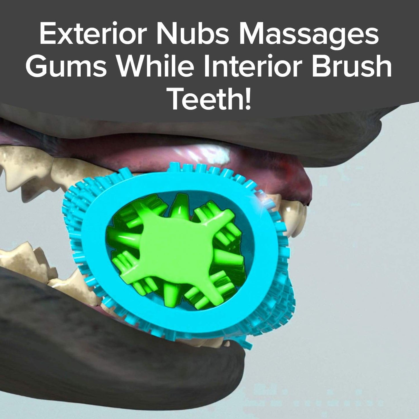 BrushBone