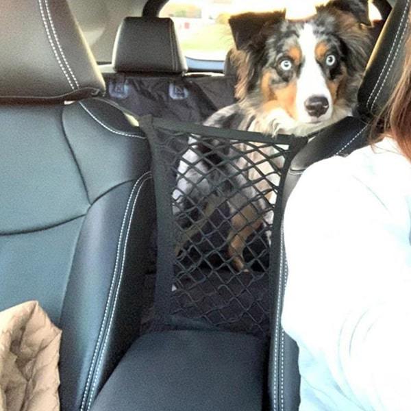A medium-hair dog with light blue eyes sits on the back seat, unable to reach the front. Car Net blocks its path