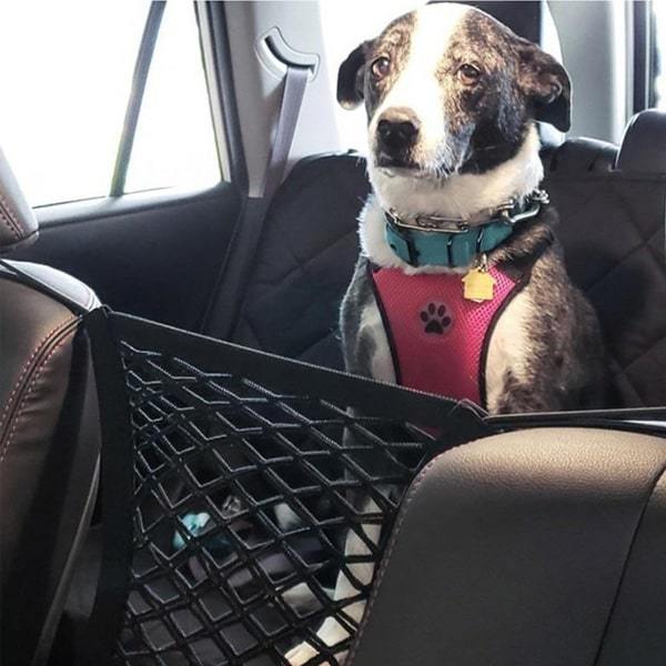 A black and white medium sized dog sits in the back seat wearing a red harness. He can't reach the front  because Car Net blocks his way.