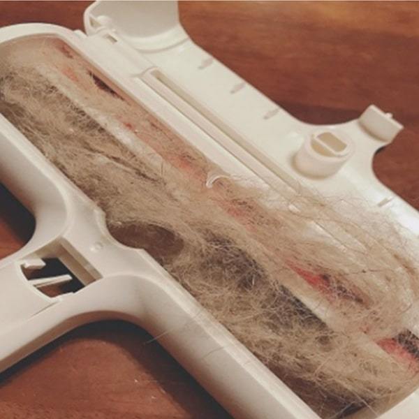 Close up of open per hair remover compartment with fur in it
